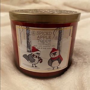 Bath & Body Works New Spiced Apple Toddy Candle